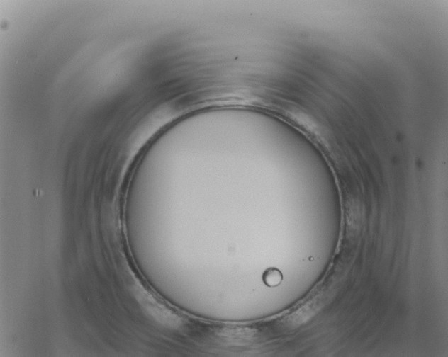 X0000062691466200512231025