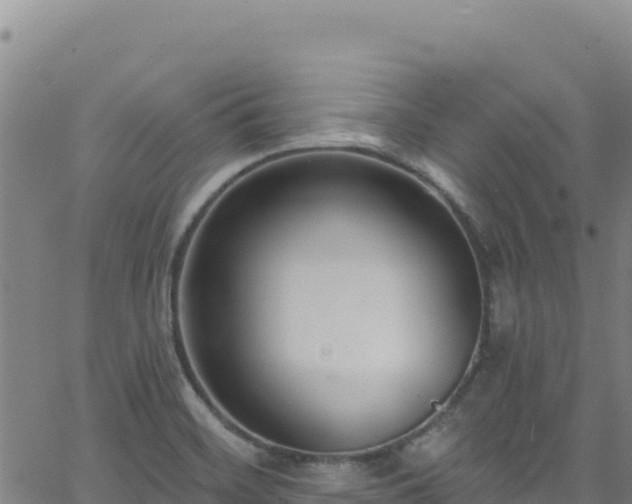 X0000062691468200512231025