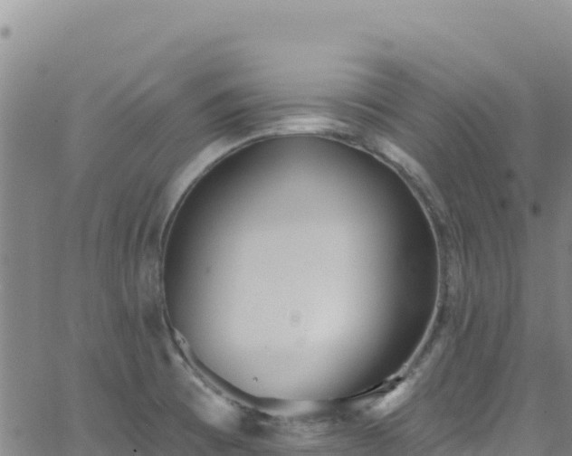 X0000062691473200512231025