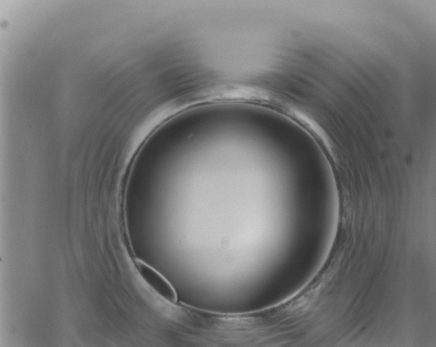 X0000062691483200512231025