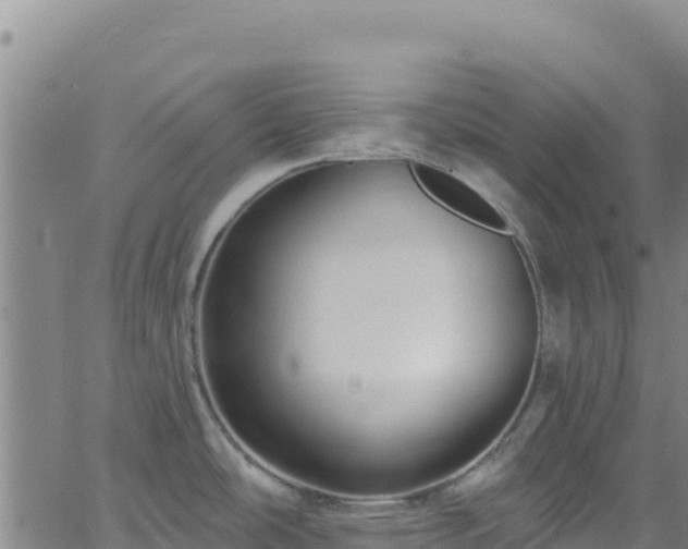 X0000062691486200512231025