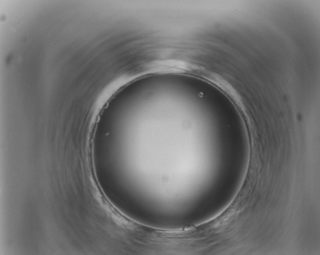 X0000062691488200512231025