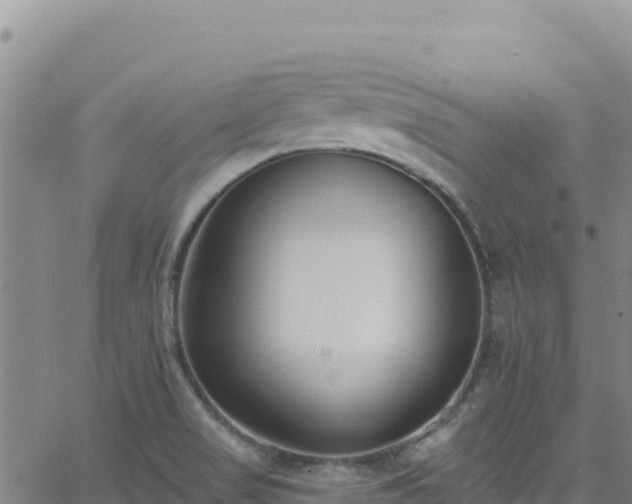 X0000062691517200512231025