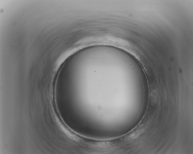 X0000062691523200512231025