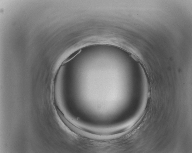 X0000062691528200512231025