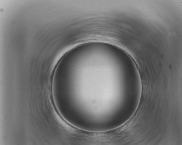 X0000062691531200512231025