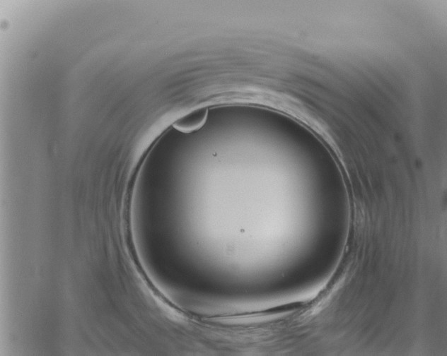 X0000062691533200512231025