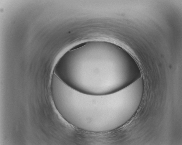 X0000062691536200512231025