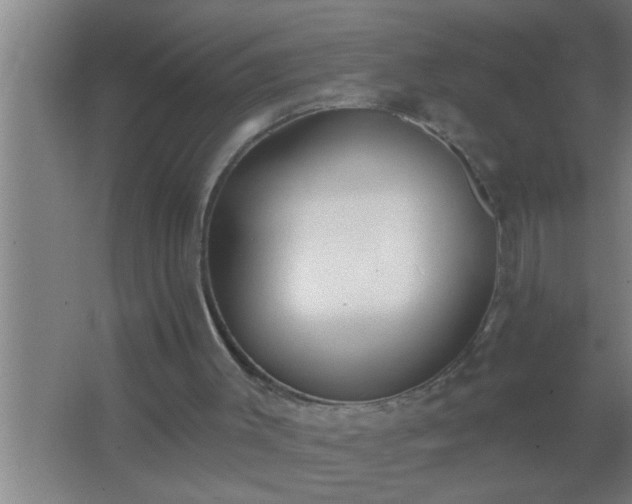 X0000062690003200512281844