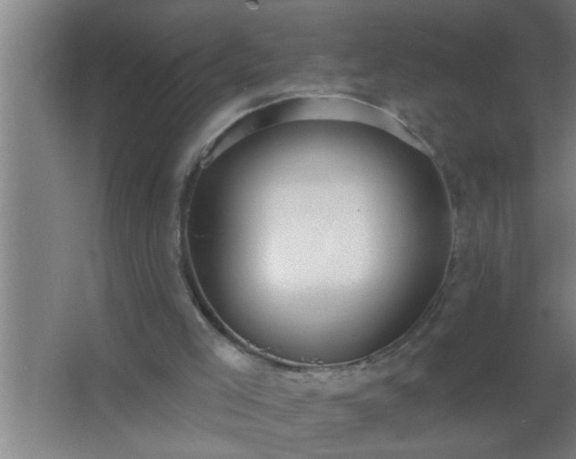 X0000062690005200512281844