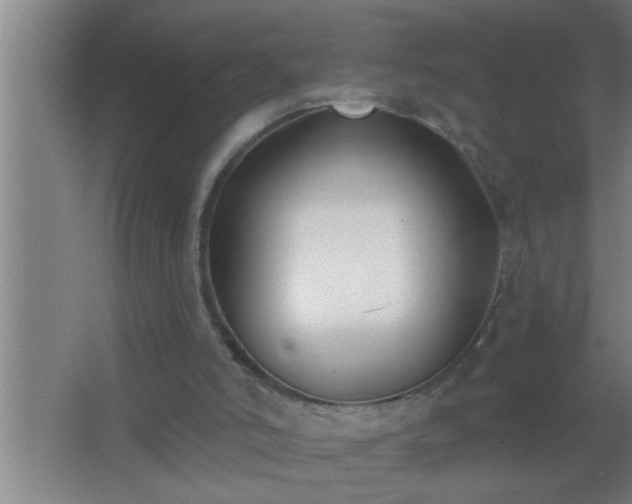 X0000062690006200512281844