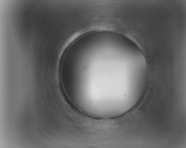 X0000062690008200512281844