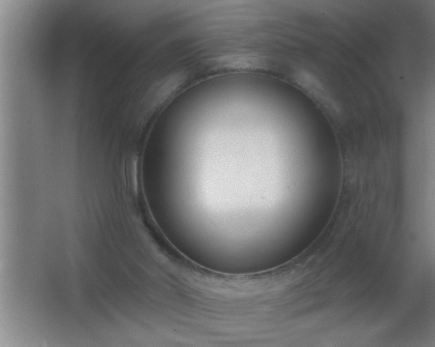 X0000062690014200512281844