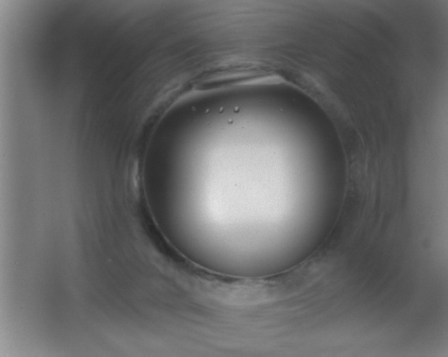 X0000062690024200512281843