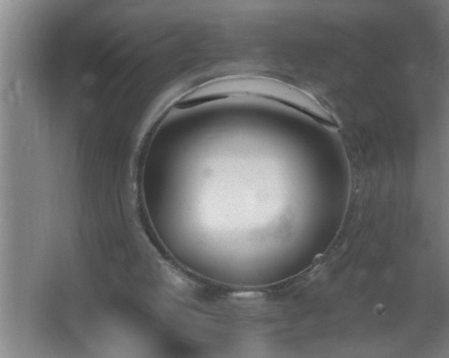 X0000062690053200512281842