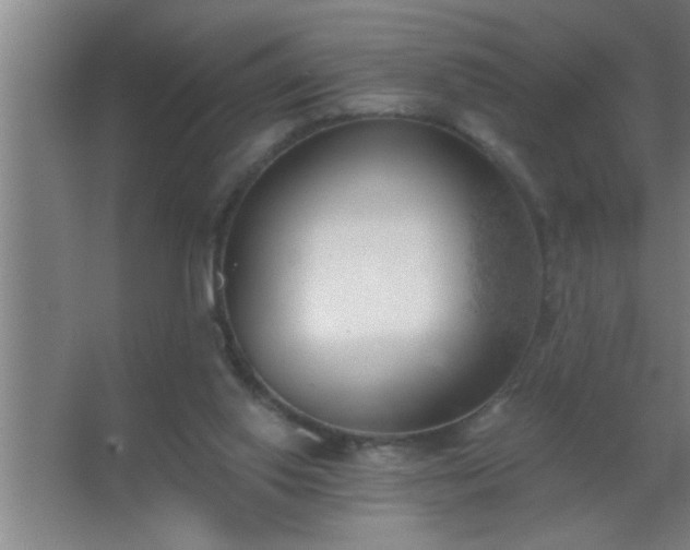 X0000062690062200512281842