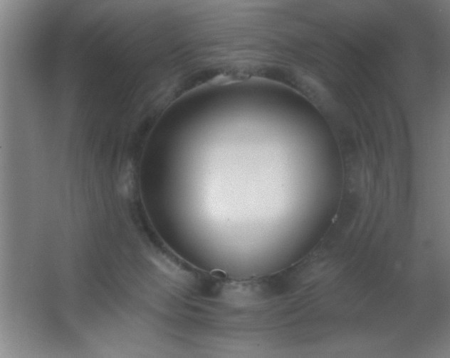 X0000062690077200512281843