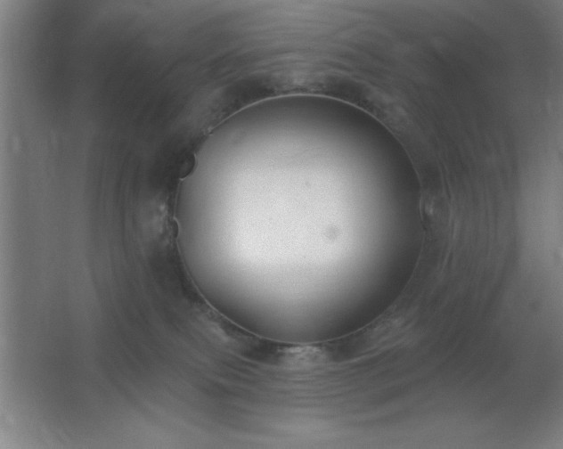 X0000062690087200512281843