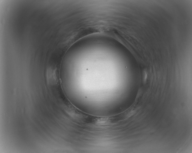 X0000062690088200512281843