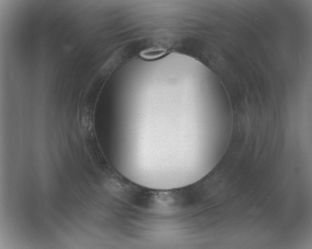 X0000062690091200512281843