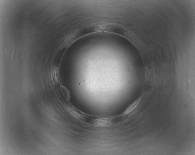 X0000062690094200512281843