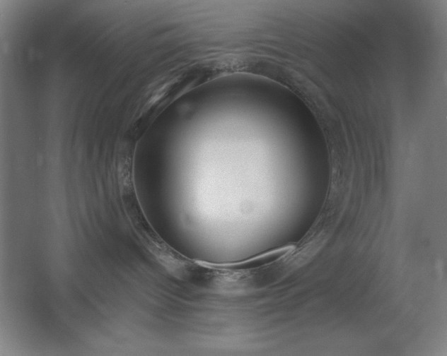 X0000062690096200512281843