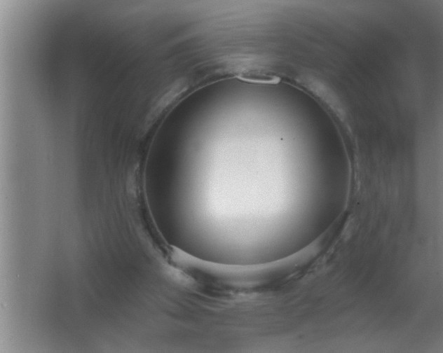X0000062690105200512281842