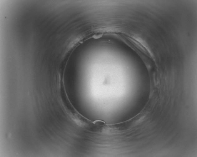 X0000062690109200512281842