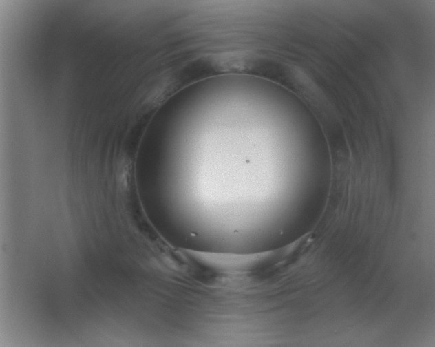 X0000062690125200512281842