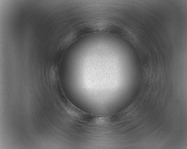 X0000062690126200512281842