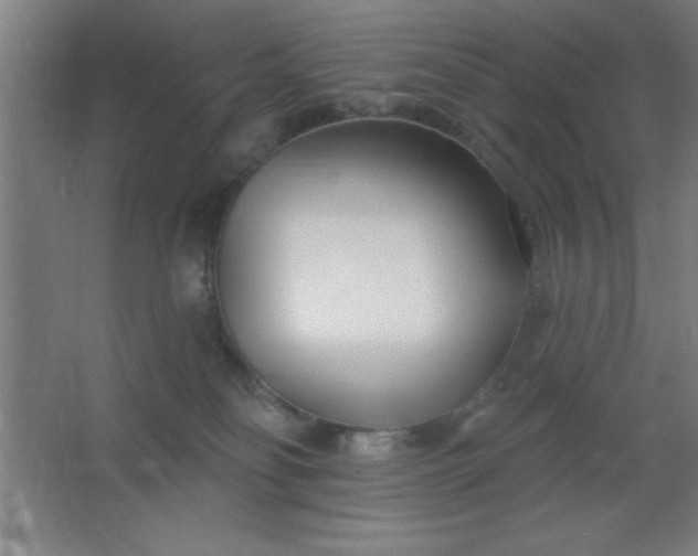 X0000062690134200512281842
