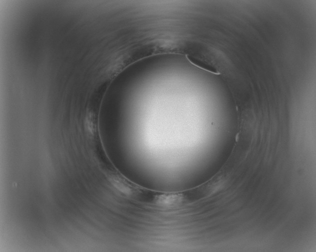 X0000062690135200512281842