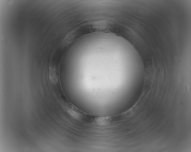 X0000062690136200512281841