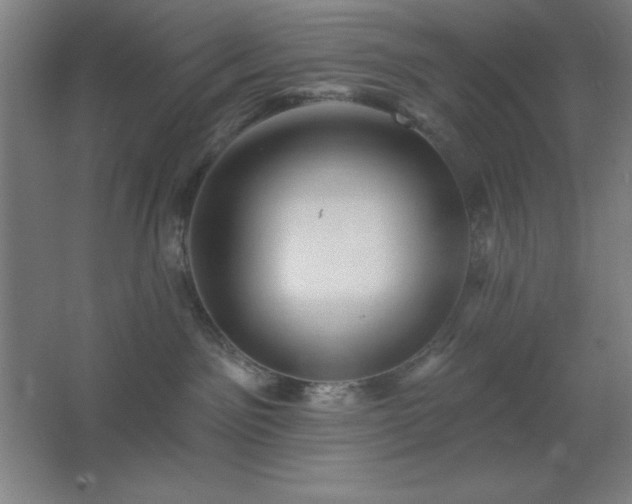 X0000062690141200512281841