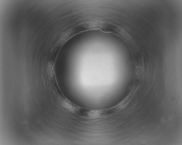 X0000062690142200512281841