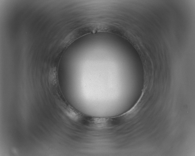 X0000062690144200512281841