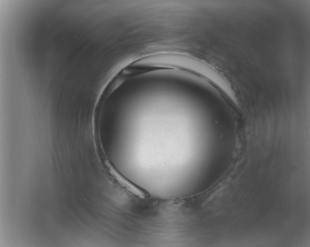 X0000062690148200512281841