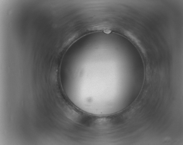 X0000062690153200512281841