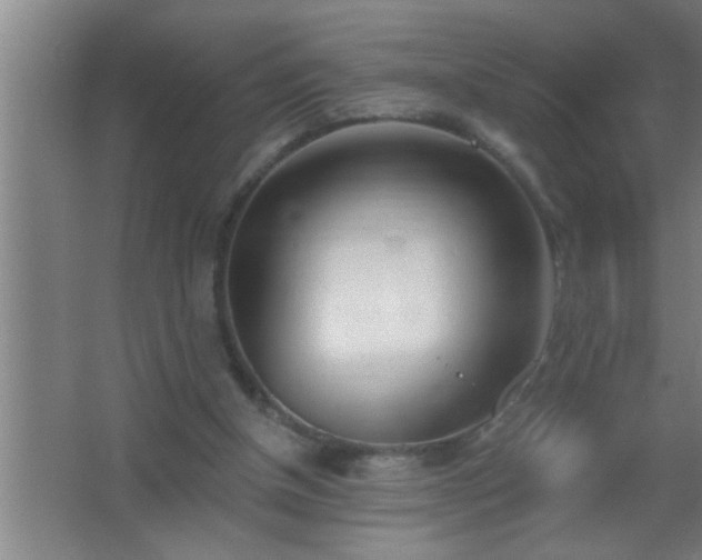 X0000062690154200512281841