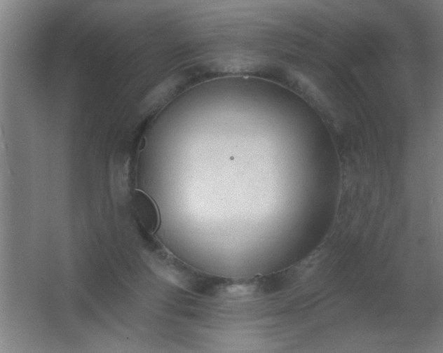 X0000062690163200512281841