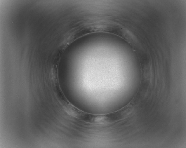 X0000062690173200512281841