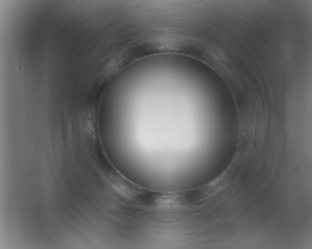 X0000062690175200512281841