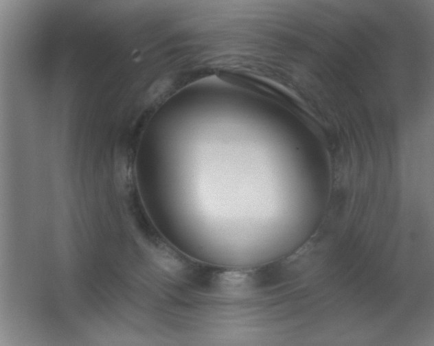 X0000062690176200512281841