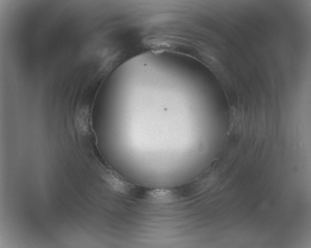 X0000062690189200512281841