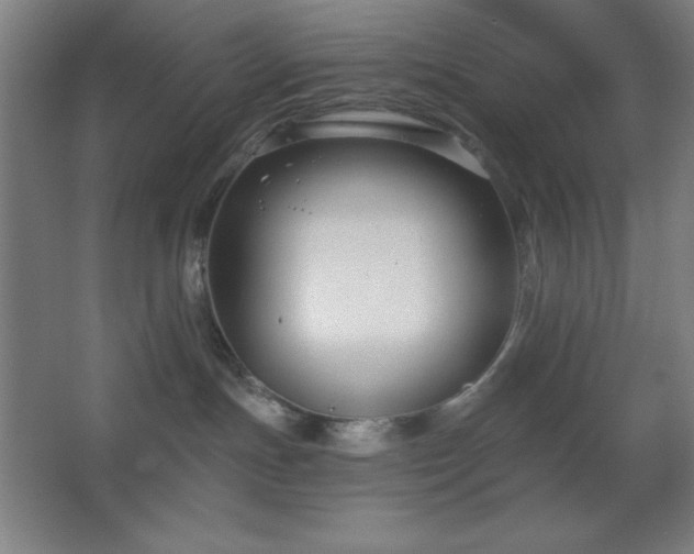 X0000062690191200512281841
