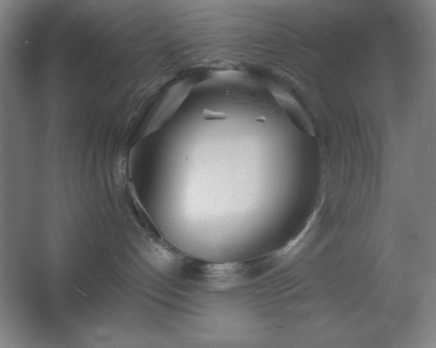 X0000062690192200512281841