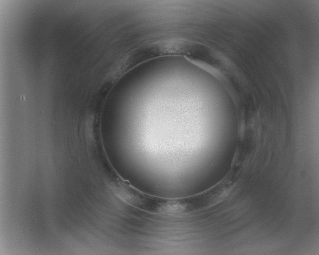 X0000062690217200512281840