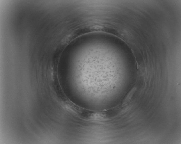 X0000062690223200512281840