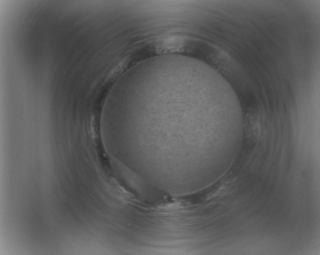 X0000062690224200512281840