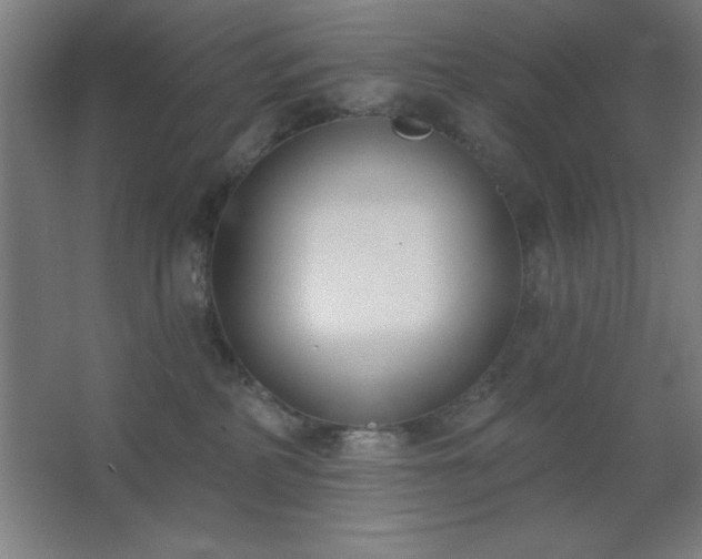 X0000062690234200512281840